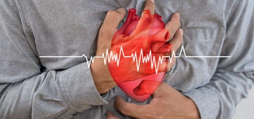 Cardiology (Heart Care)